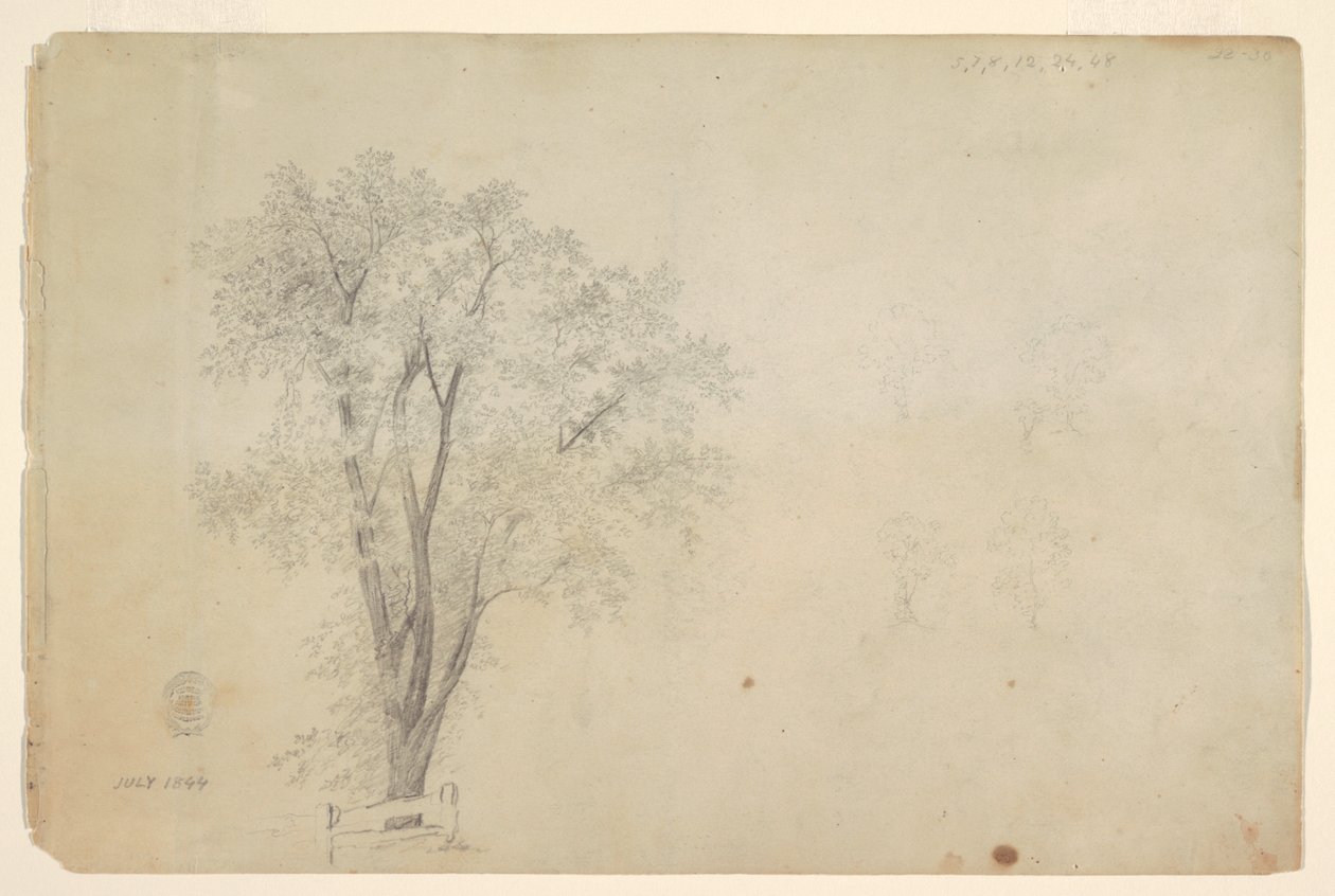 Bomen door Frederic Edwin Church
