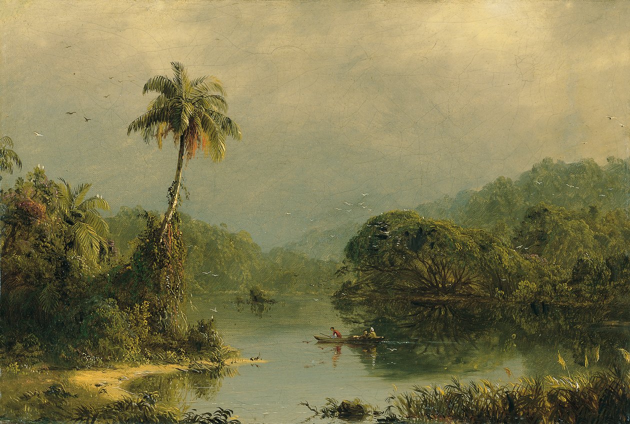 Tropisch landschap door Frederic Edwin Church