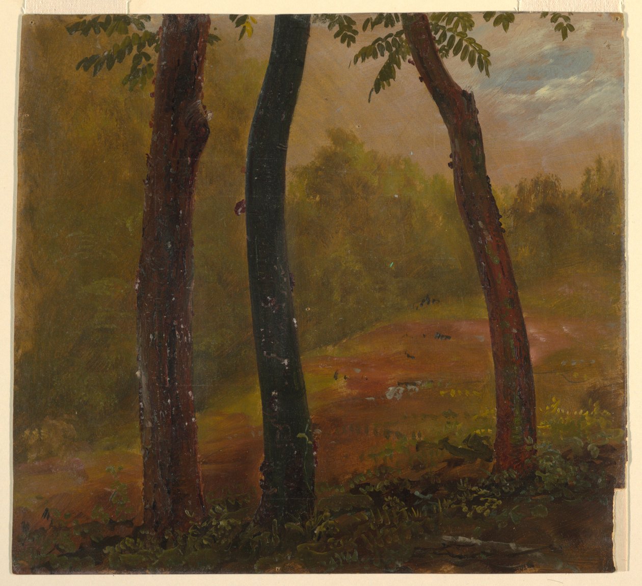 Boslandschap, Jamaica door Frederic Edwin Church