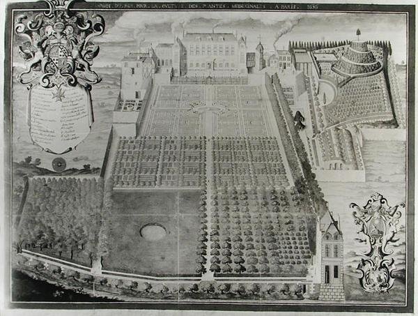 De Medicinale Plantentuin van de Koning door Frederic Scalberge