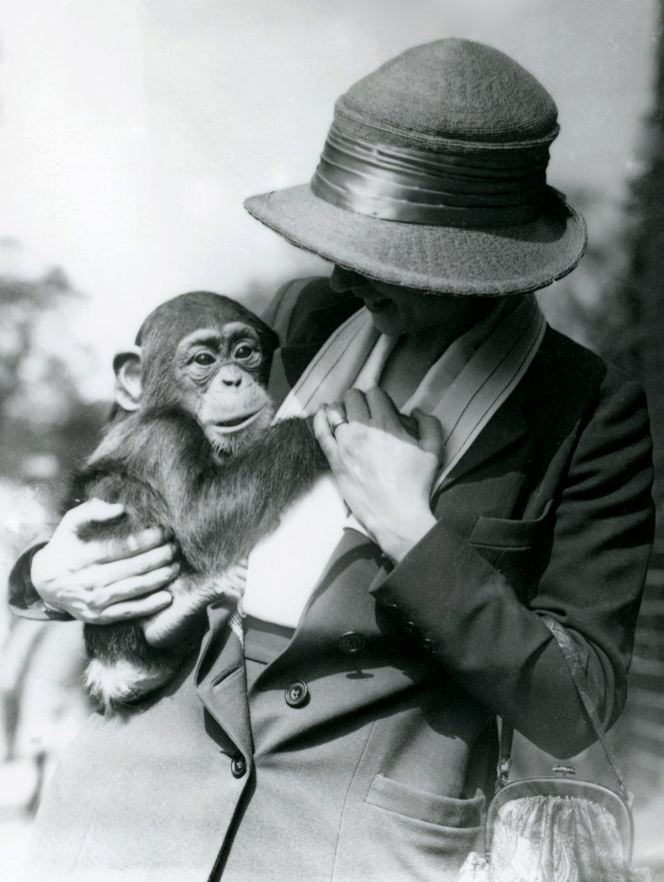 Een dame houdt een jonge Chimpansee vast in de London Zoo door Frederick William Bond