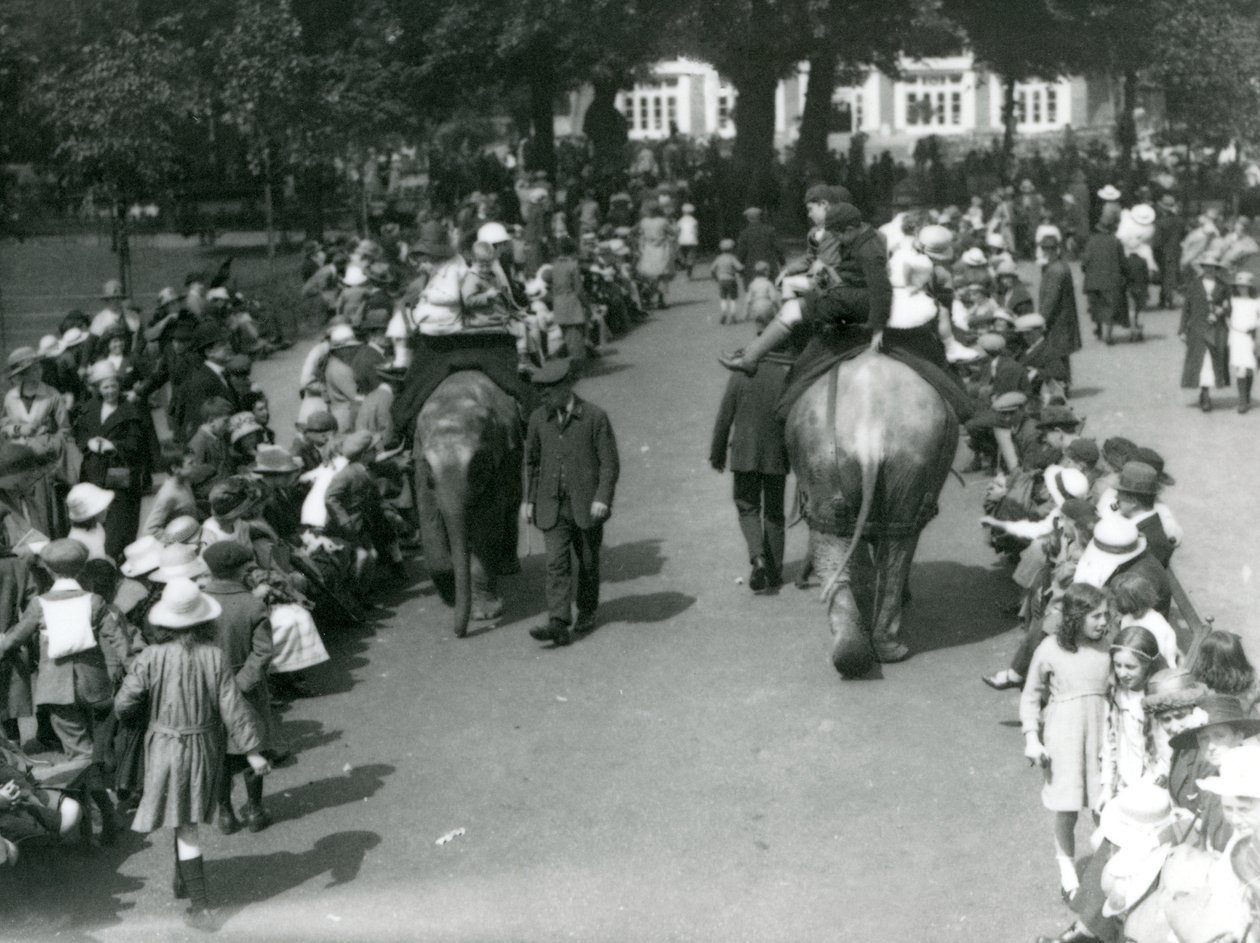 Aziatische olifantenritten met menigten toeschouwers in London Zoo, 1922 door Frederick William Bond