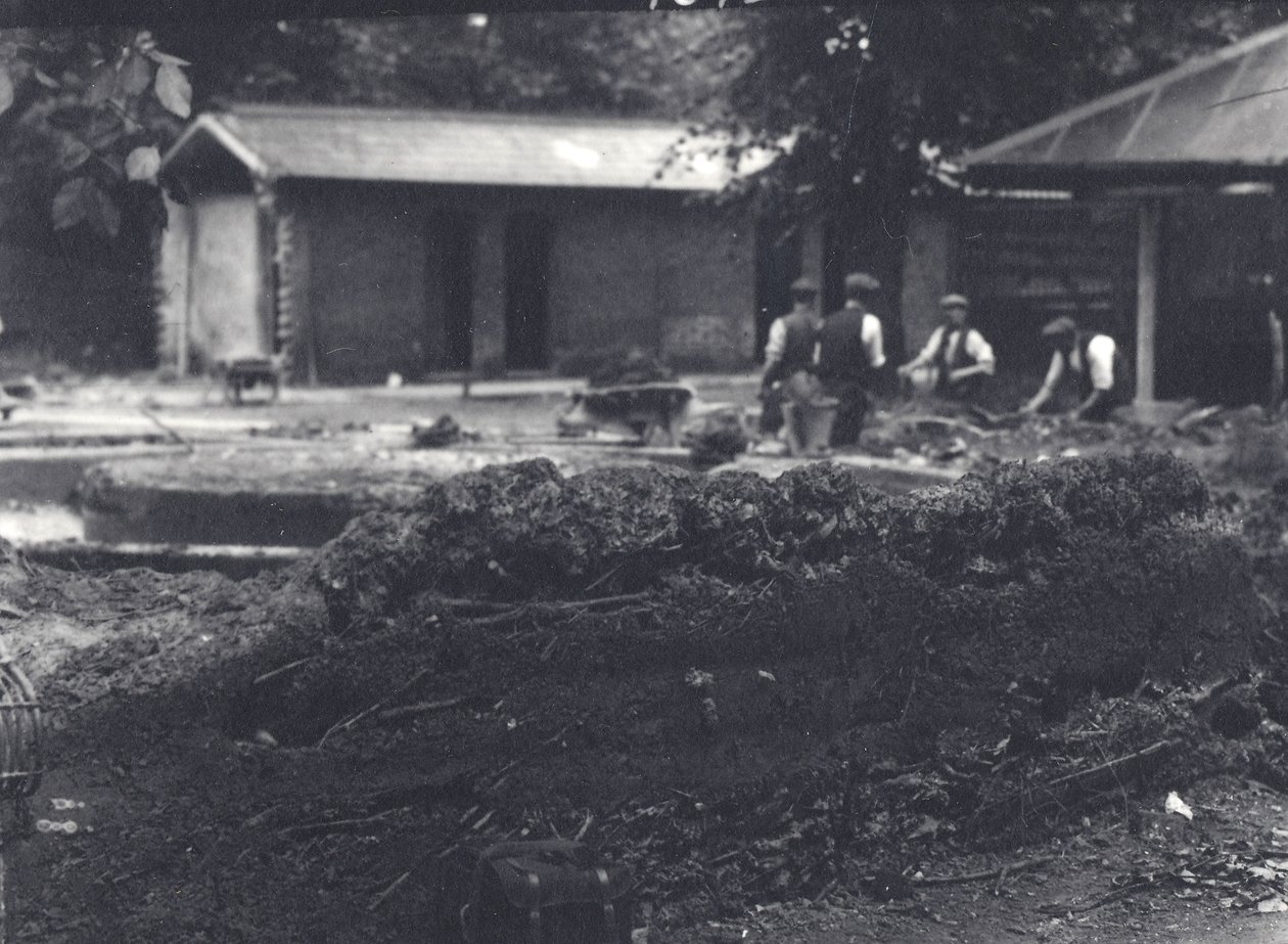Beverburcht met verzorgers op de achtergrond, London Zoo, juli 1916 door Frederick William Bond