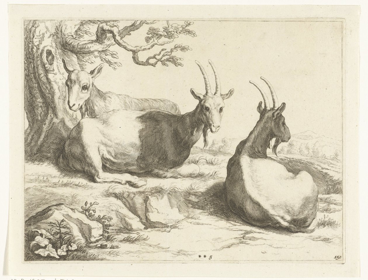 Geiten door Frederick Bloemaert