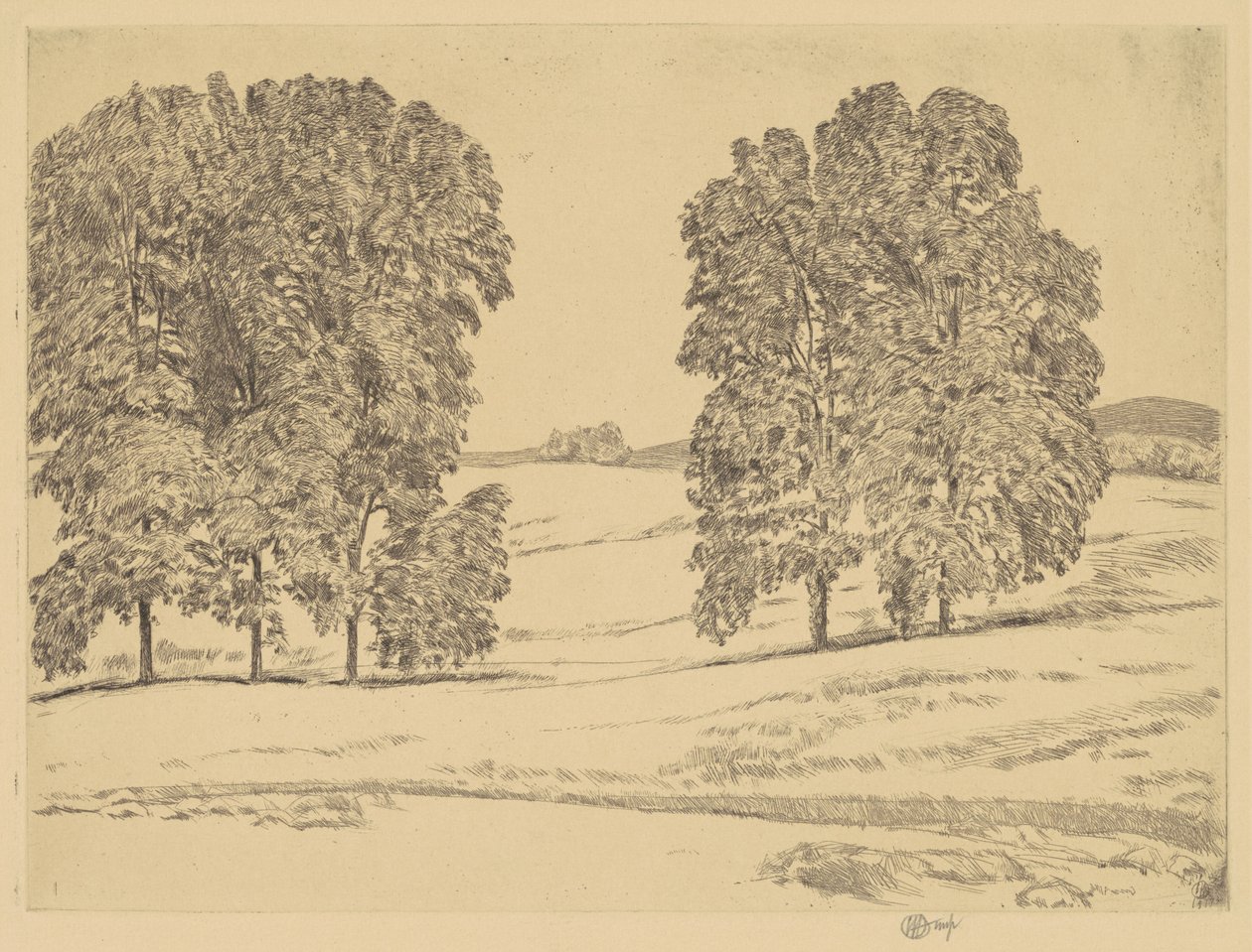 Hickories in een hooiveld door Frederick Childe Hassam