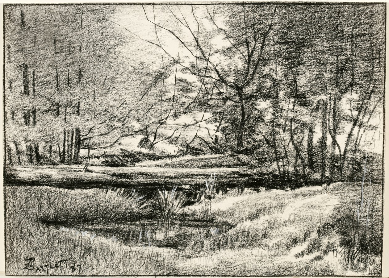 Vijver in de Adirondacks door Frederick Eugene Bartlett