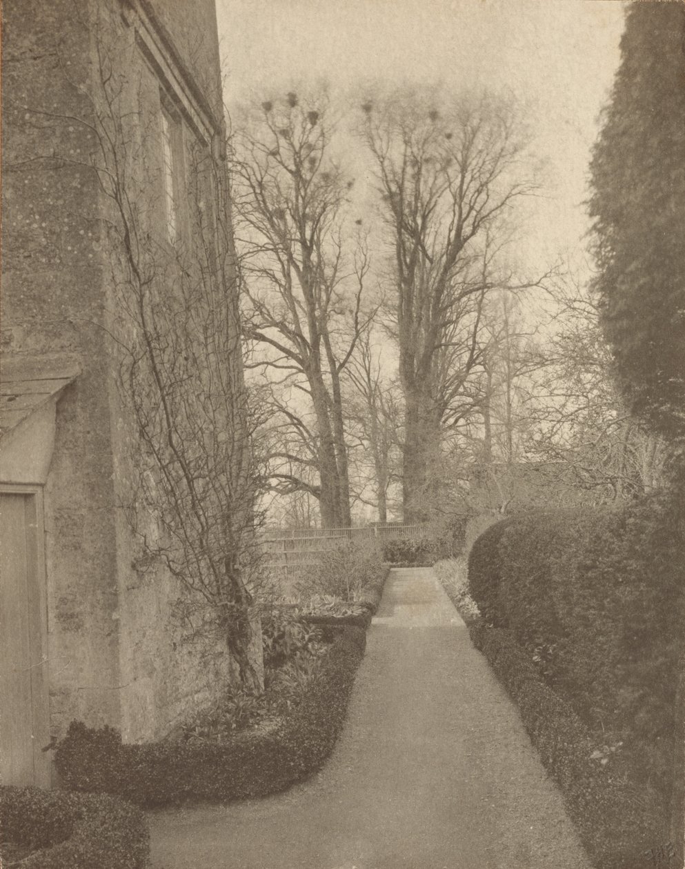 Kelmscott Manor: In de tuin door Frederick H. Evans