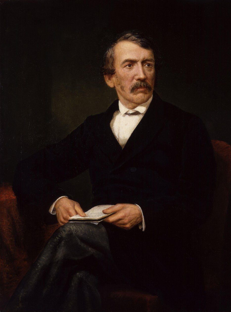 David Livingstone (postuum portret) door Frederick Havill