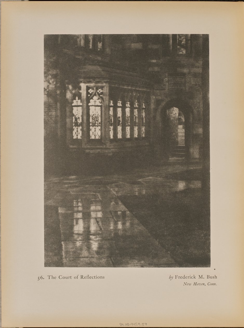 Het hof van reflecties door Frederick M. Bush