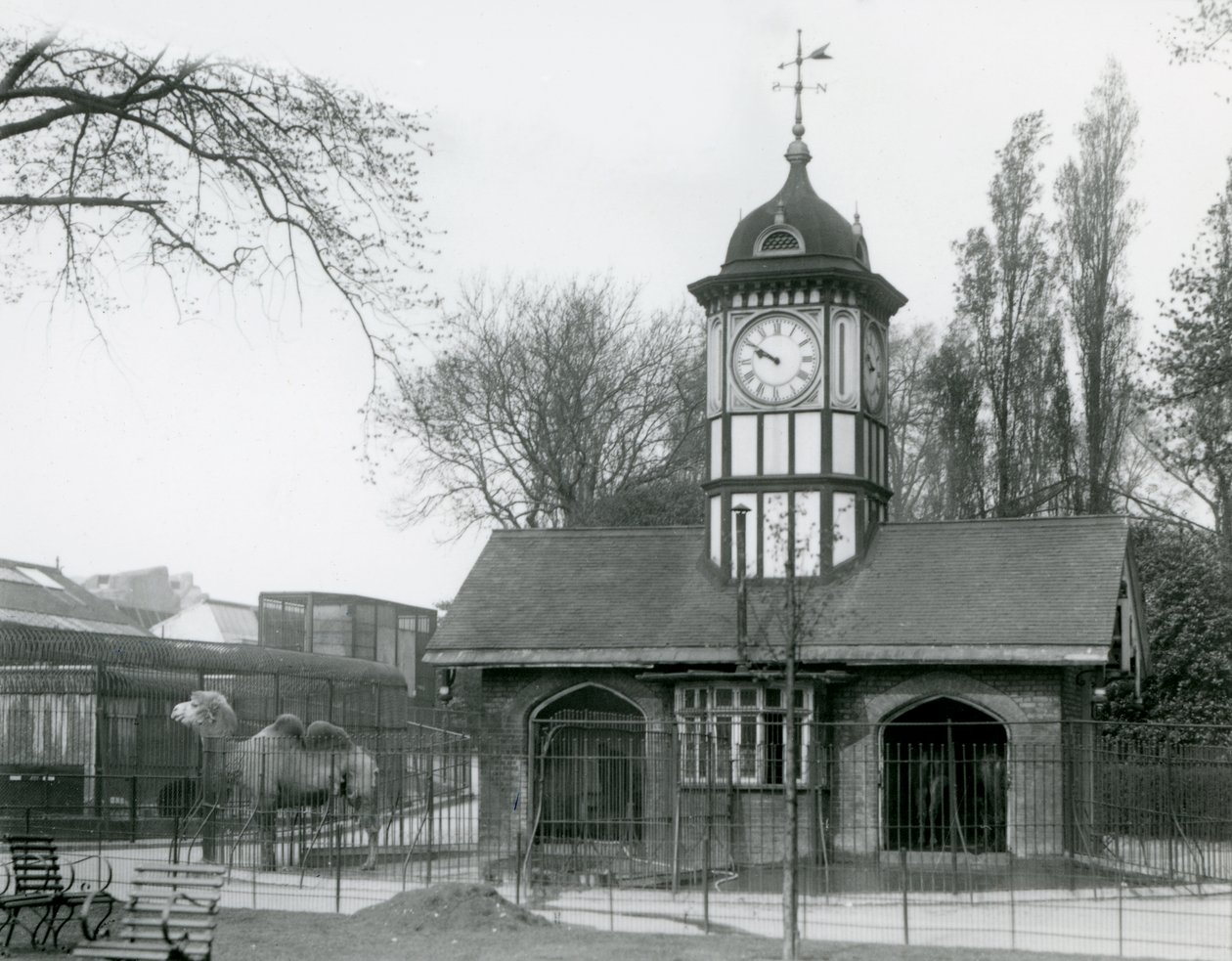 Het Kameelhuis, London Zoo door Frederick William Bond