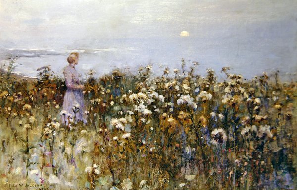 Zomerzon door Frederick William Jackson