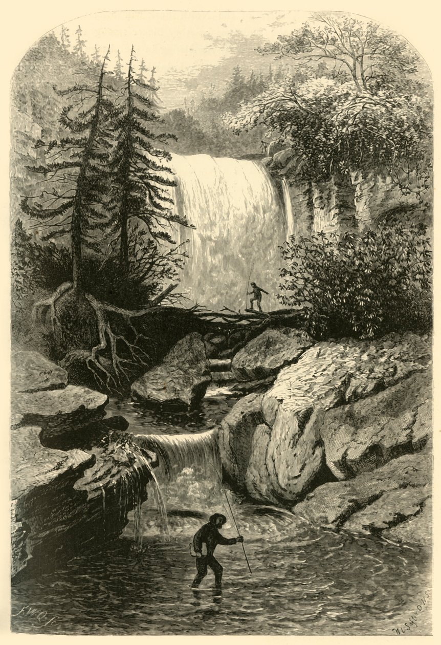 Watervallen van de Blackwater, 1872 door Frederick William Quartley