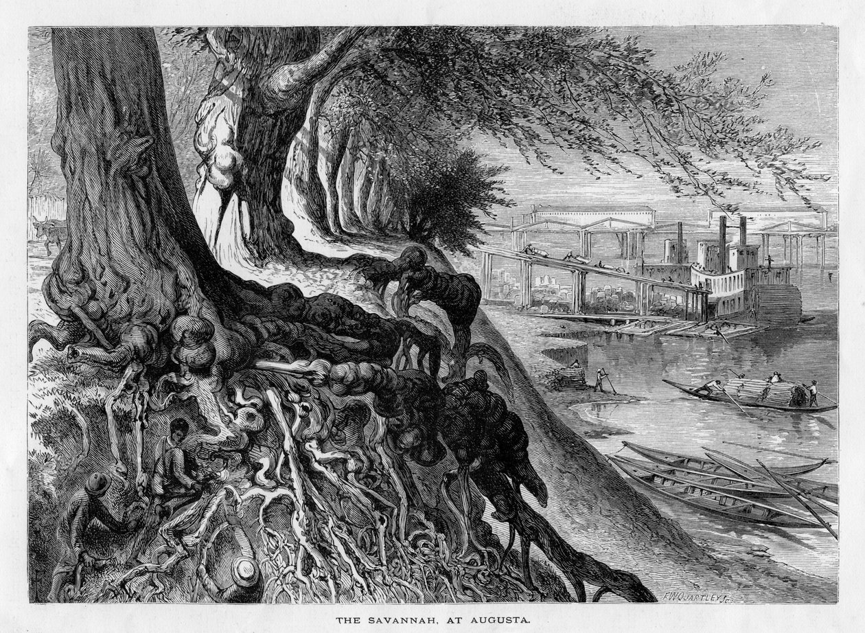 De Savannah, bij Augusta, 19e eeuw door Frederick William Quartley