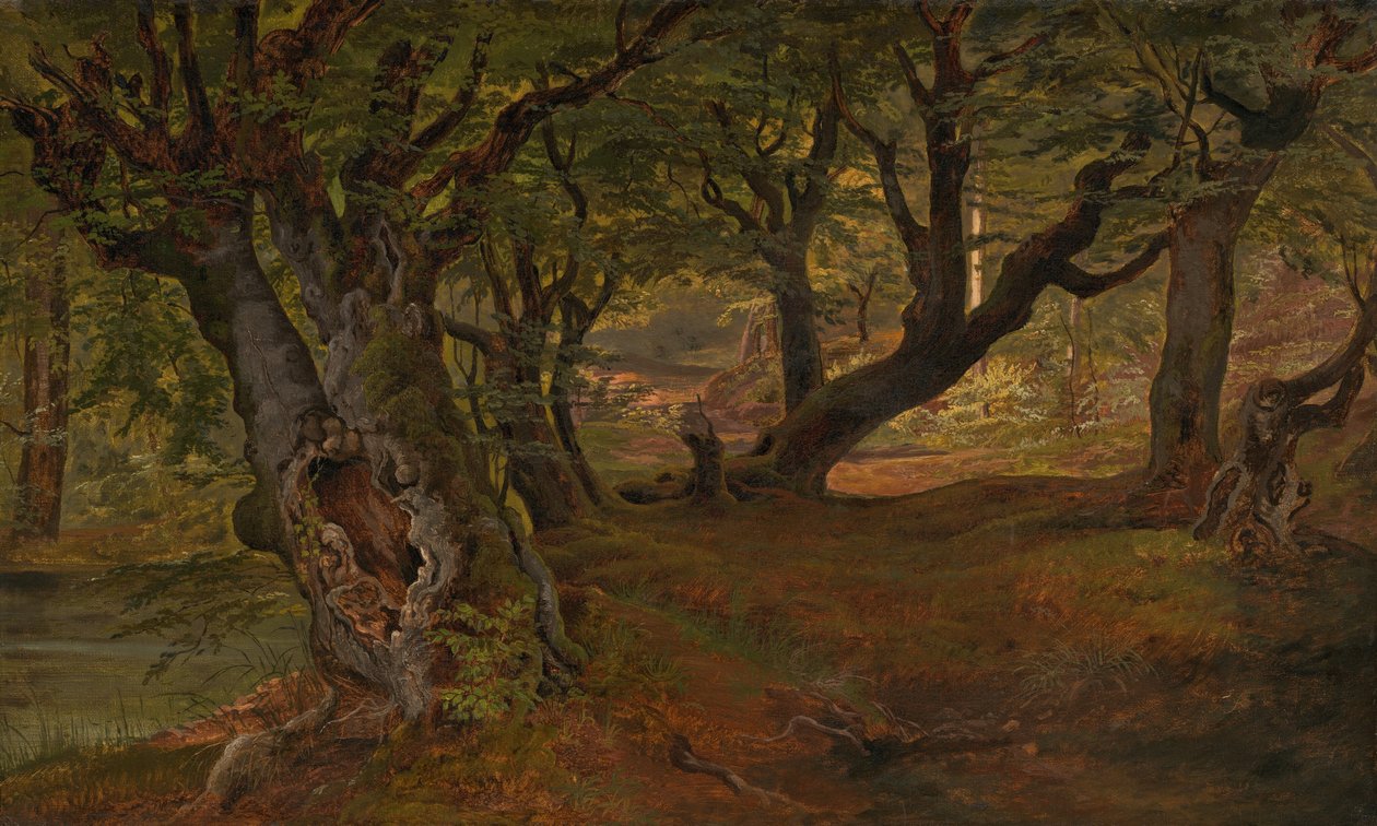 Uitzicht op het Bregentved-bos, Sjaelland door Frederik Sødring