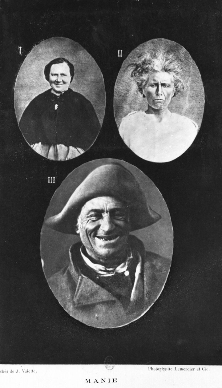 Manie, illustratie uit Nouveau traité élémentaire et pratique des maladies mentales door Henri Dagonet (1823-1902) Parijs, Baillière, 1876 door French Photographer