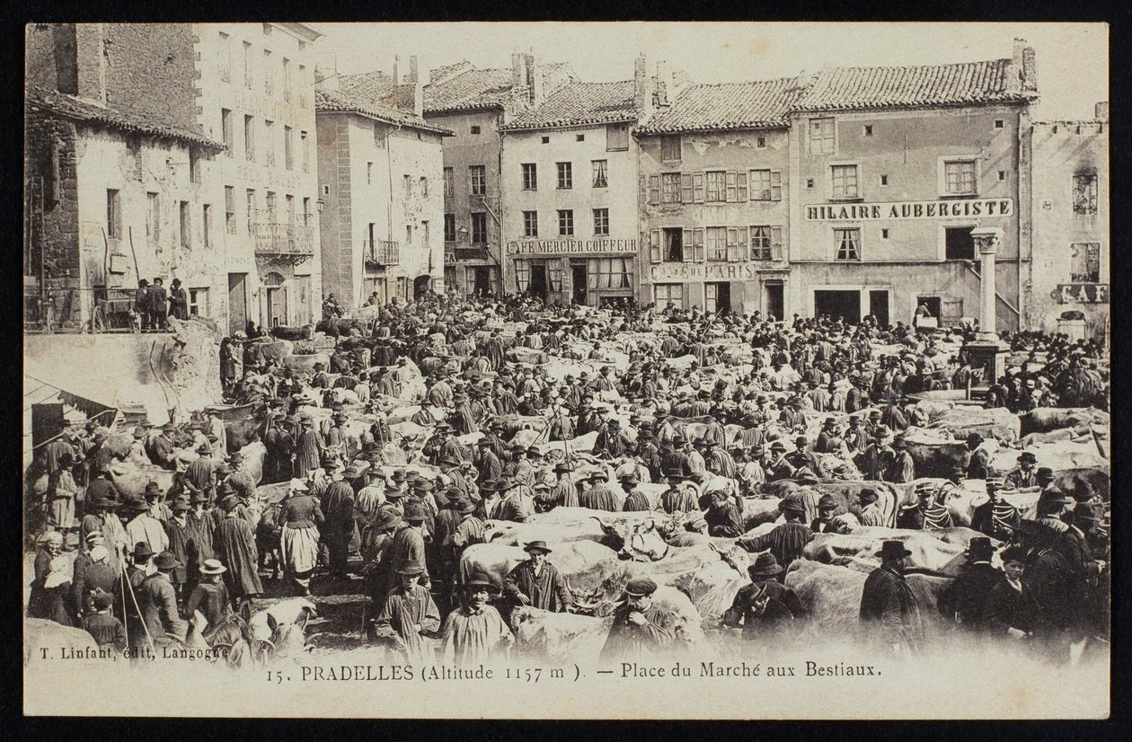 Ansichtkaart met de vee markt in Pradelles, ca.1900 door French Photographer