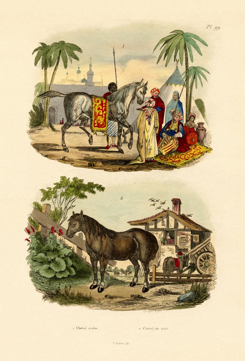Arabisch Paard door French School