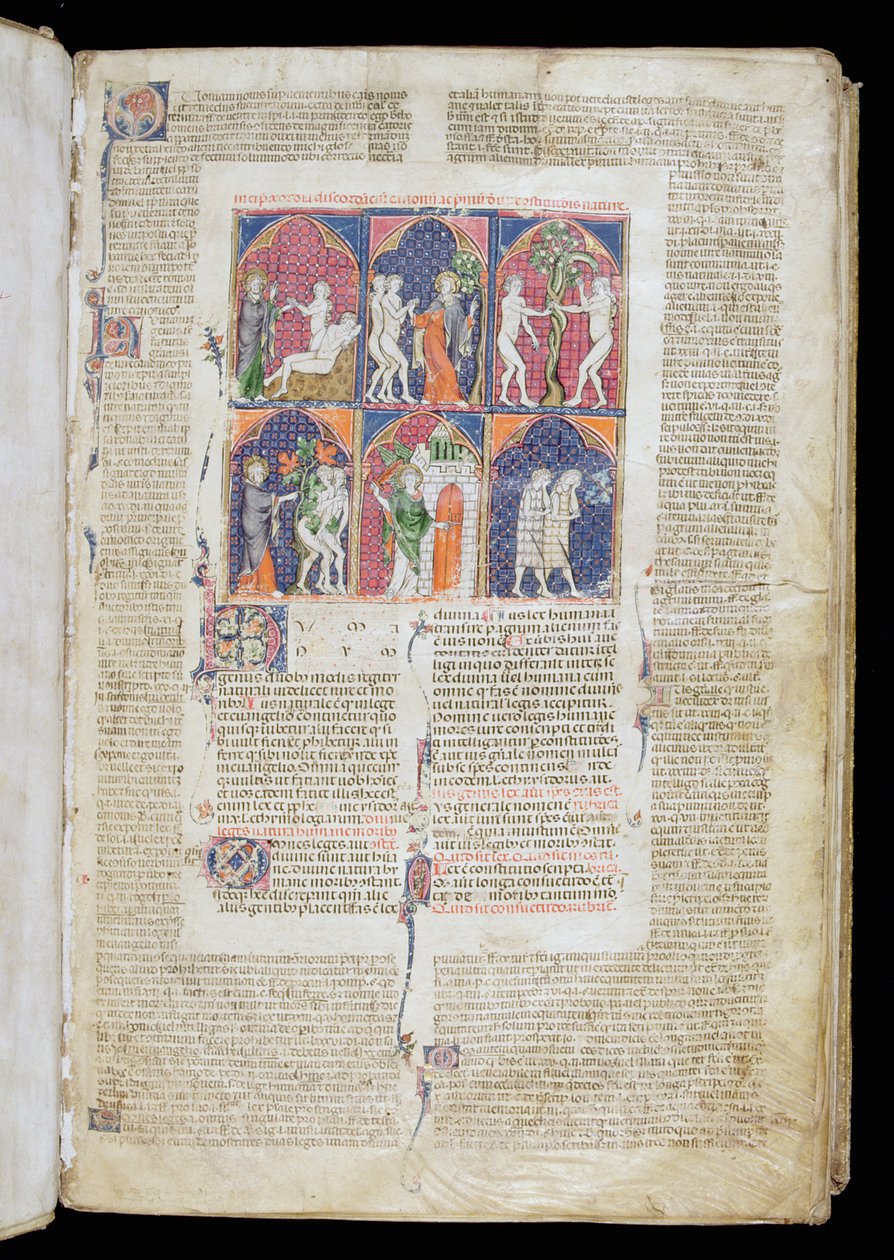 Ms. 262, f.1r: Zes scènes van Schepping en Val uit Gratian