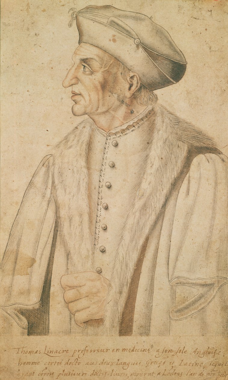 Thomas Linacre door French School