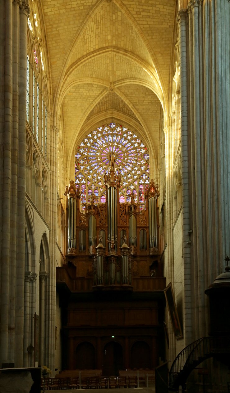 Uitzicht op het zuidelijke transept door French School