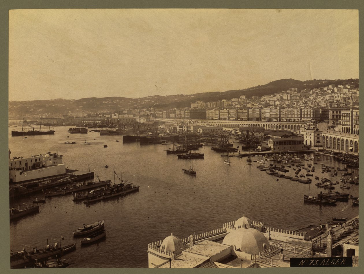 Uitzicht op Algiers, ca. 1860-1900 door French Photographer