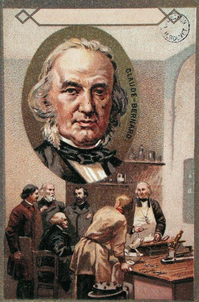 Claude Bernard door French School