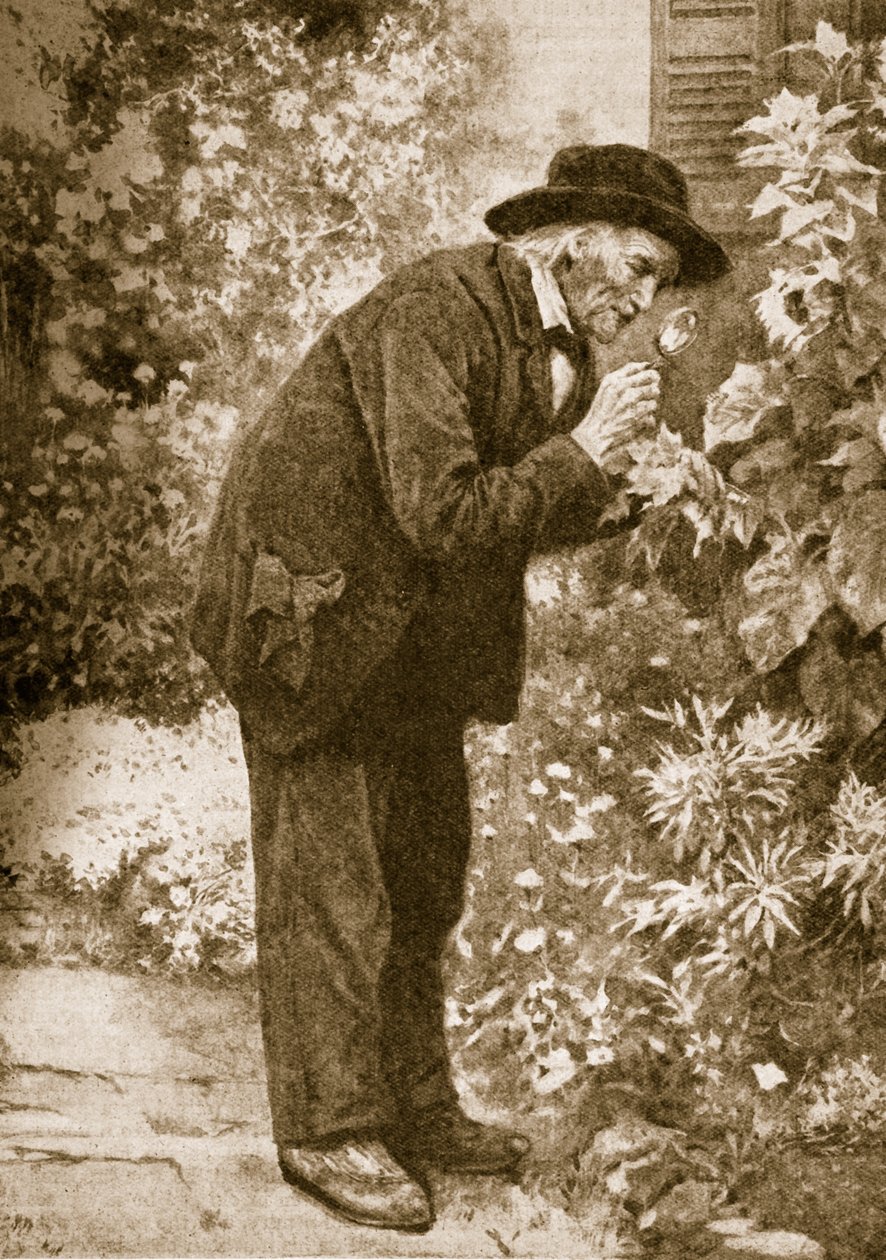 Jean-Henri Fabre observeert insecten door French School