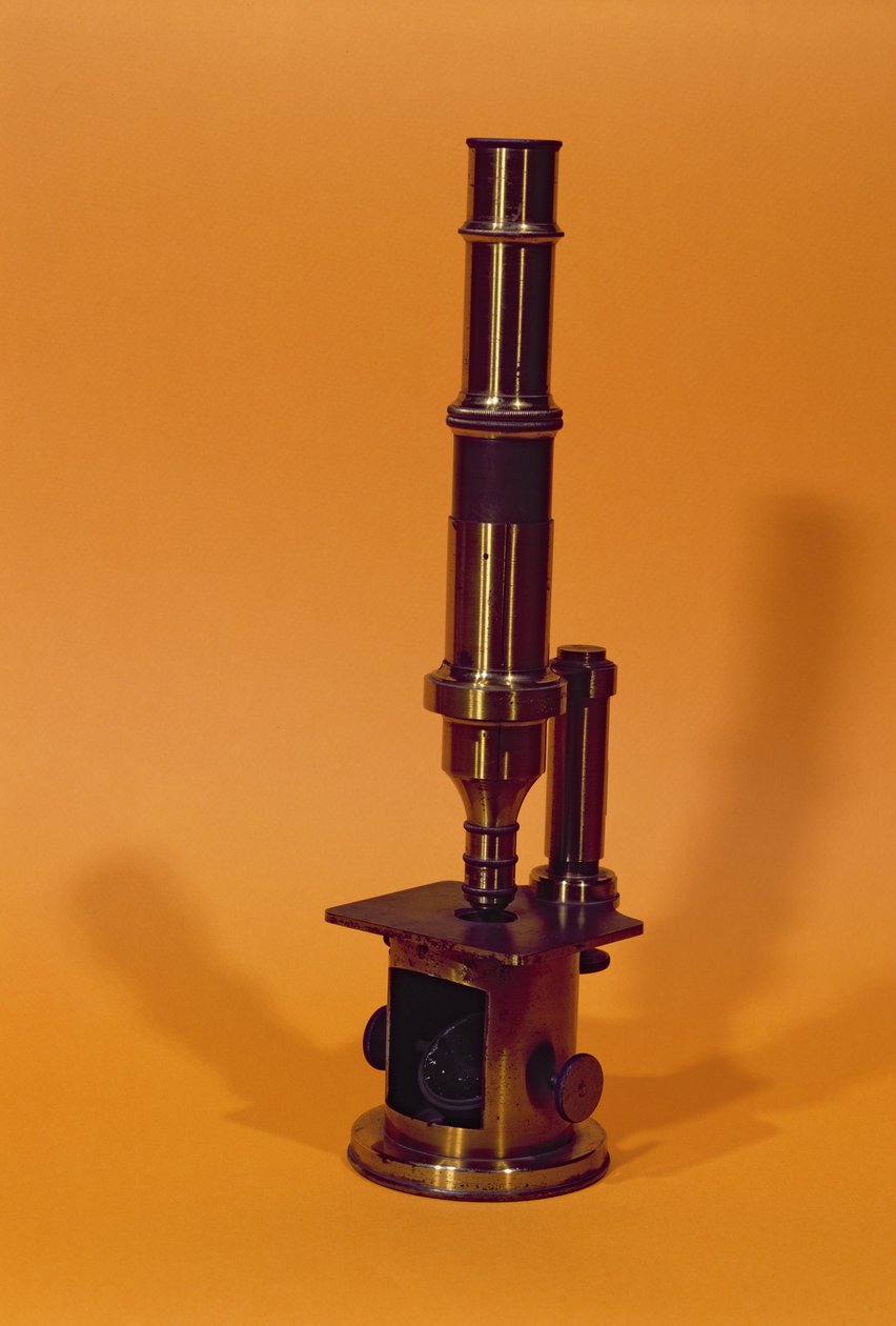 Microscoop van Louis Pasteur (1811-95) (metaal) door French School