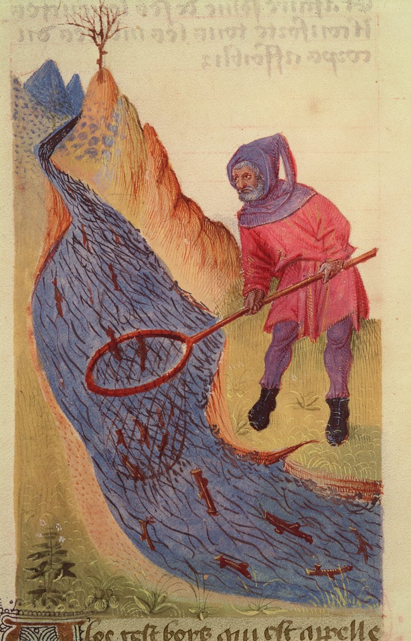 Ms 59 fol.3r Visser, uit Grand Herbier door French School