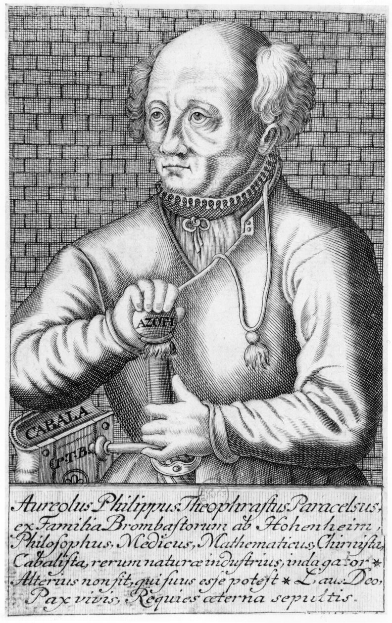 Paracelsus (1493-1541) door French School