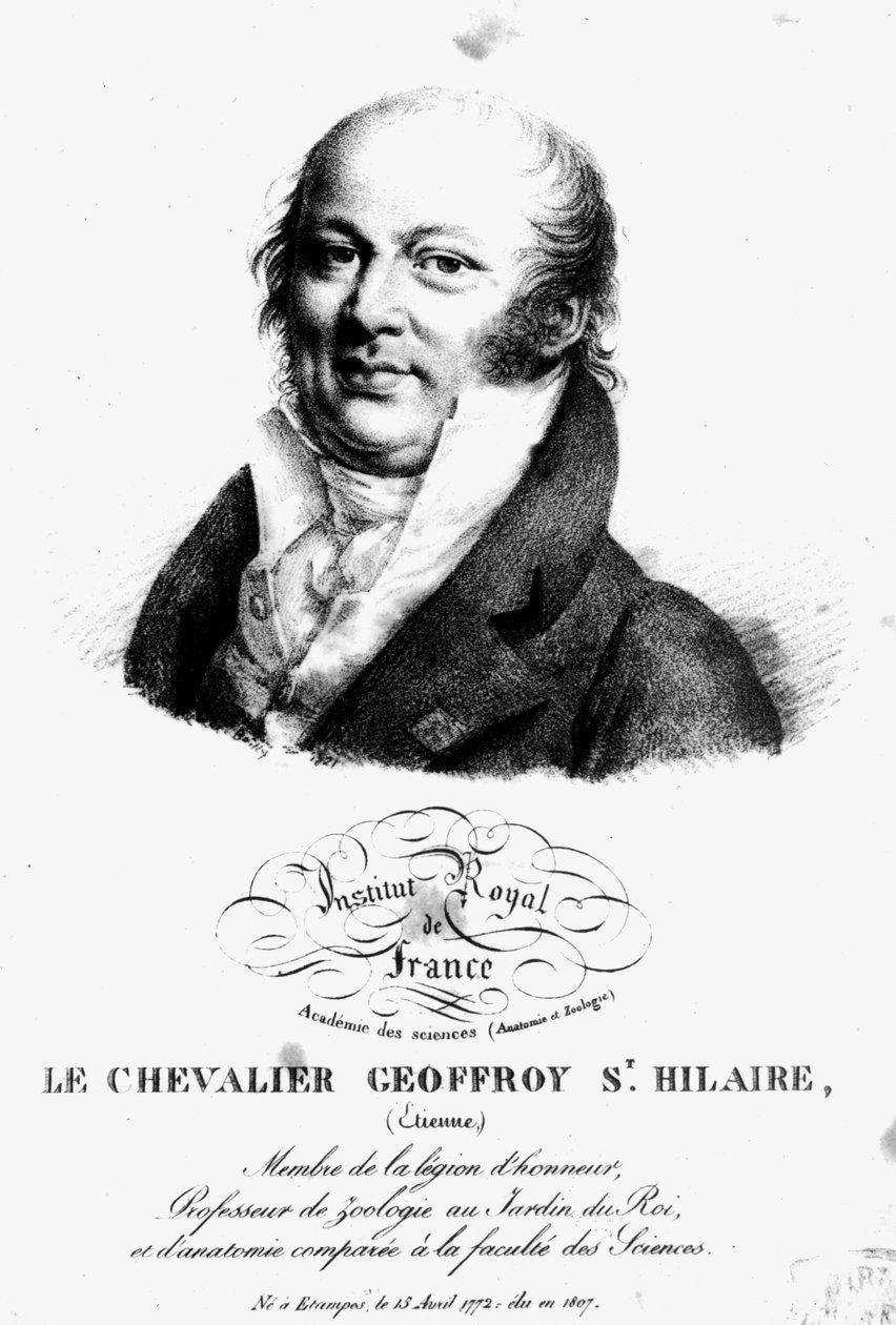 Portret van Etienne Geoffroy Saint-Hilaire (1722-1844) door French School