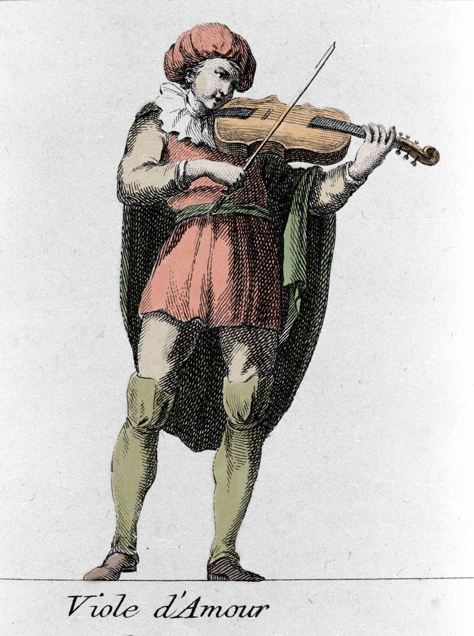 Viola d