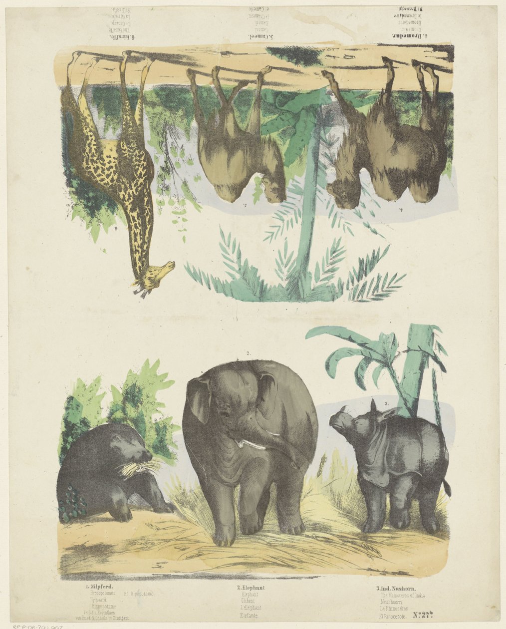 Wilde dieren door Friedrich Gustav Schulz