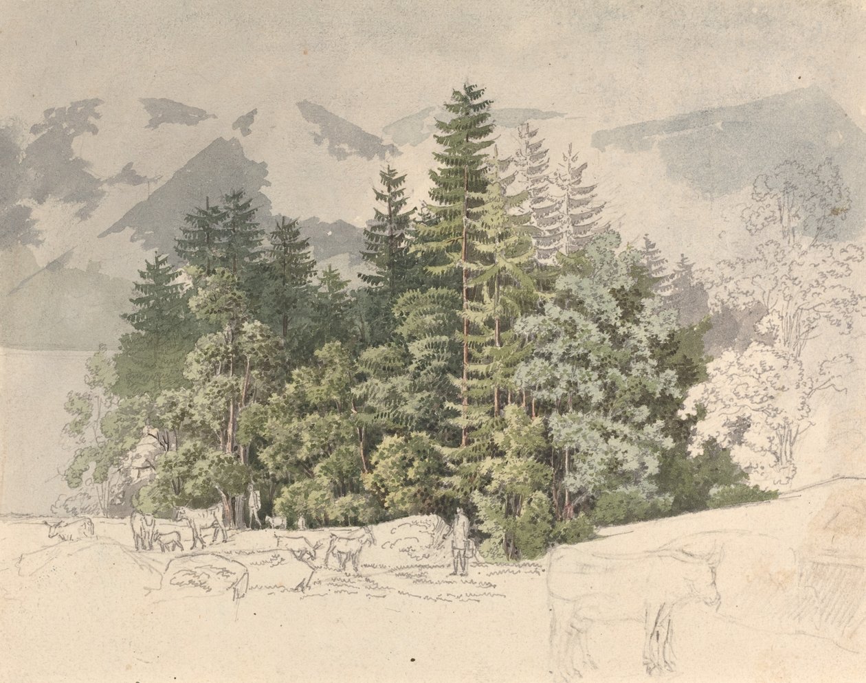 Alpenlandschap door Friedrich Salathé