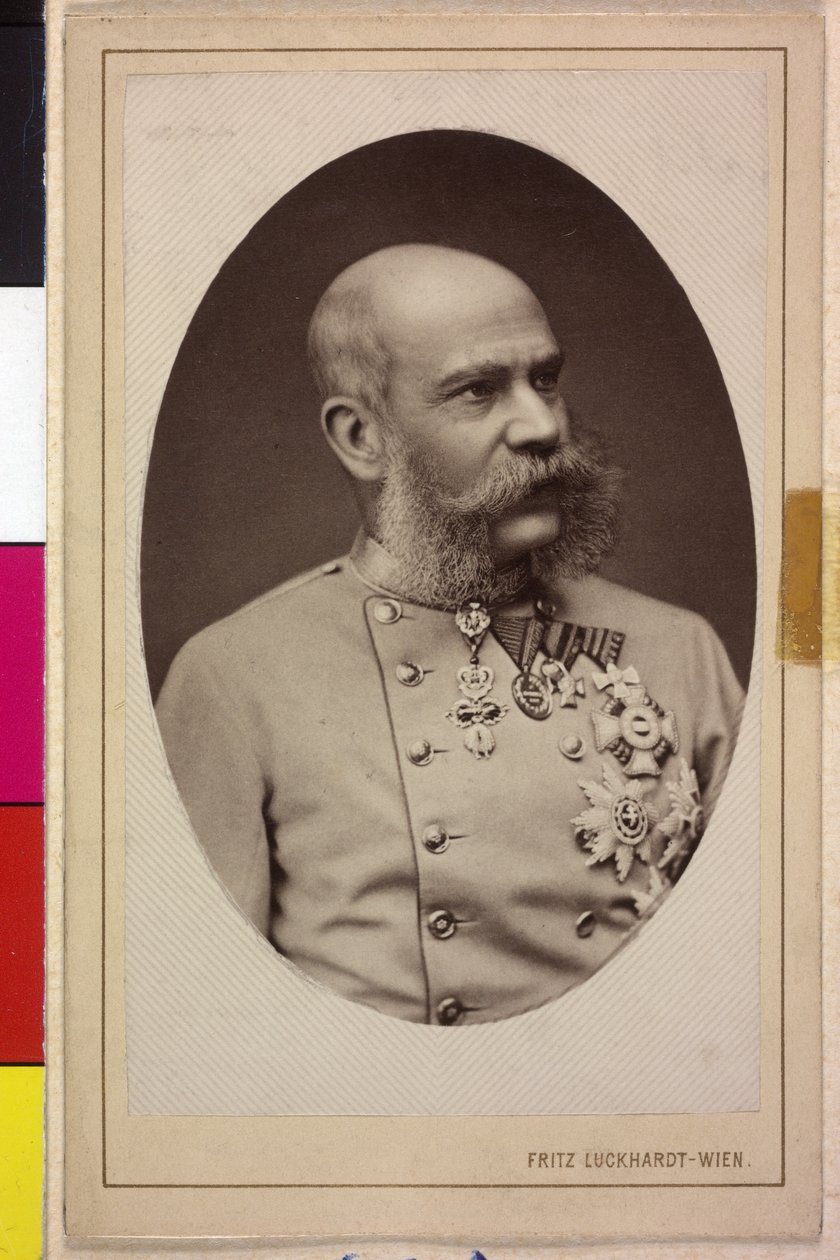 Franz Joseph I door Fritz Luckhardt
