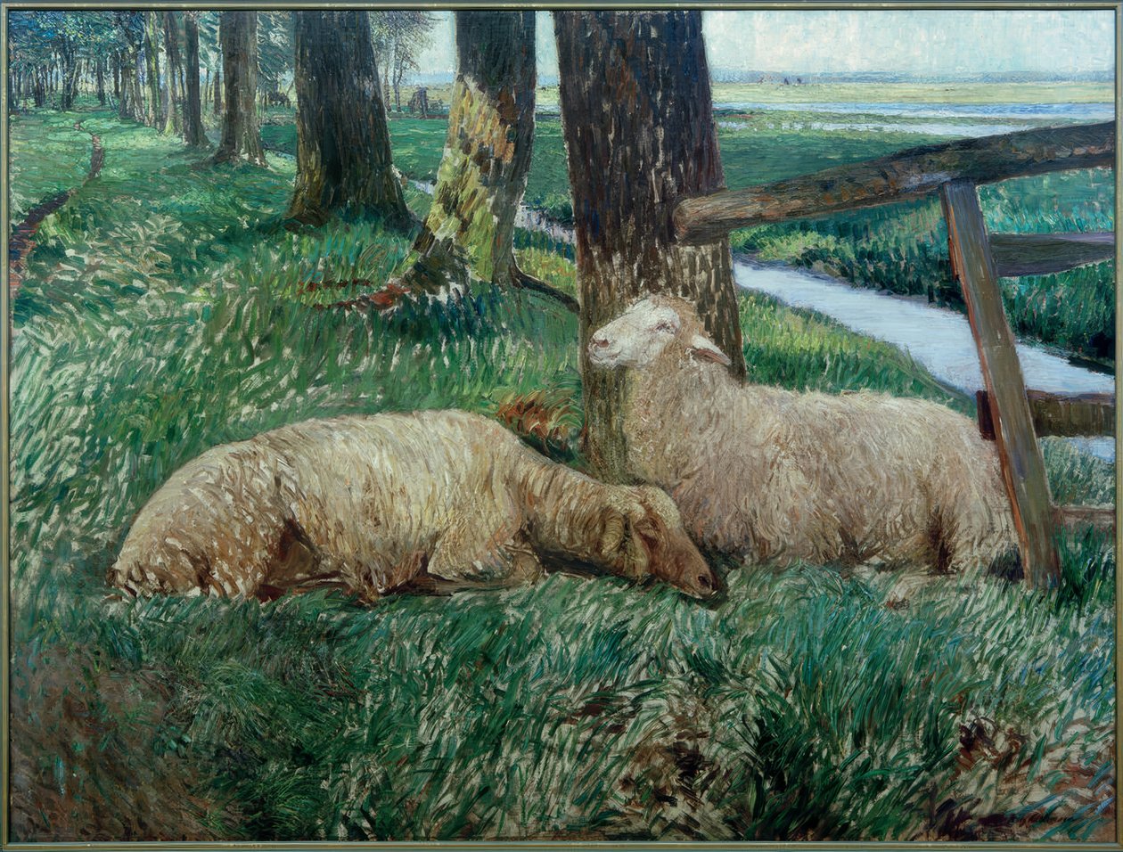 Schapen rusten door Fritz Mackensen