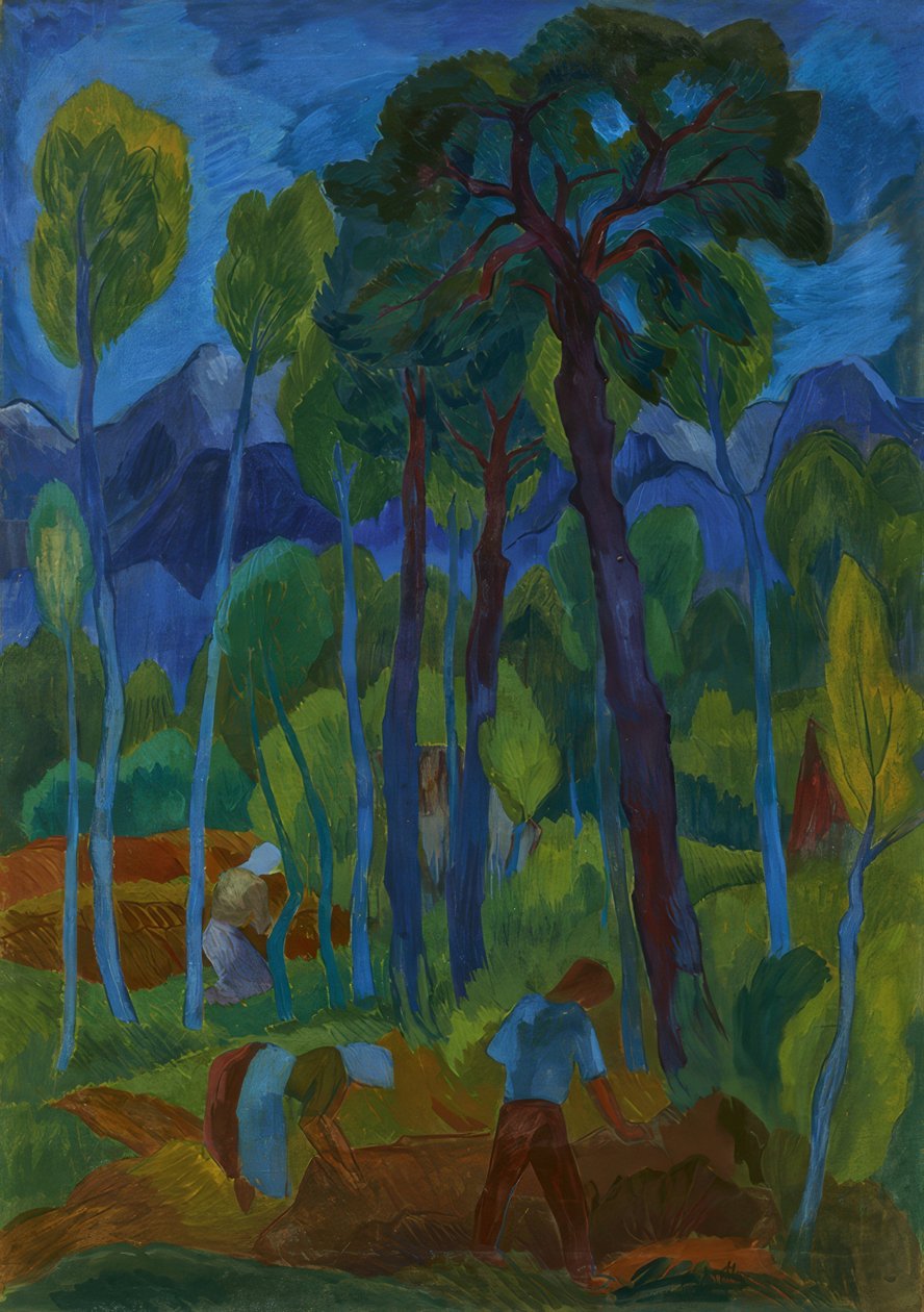 Moorlandschaft door Fritz Schaefler