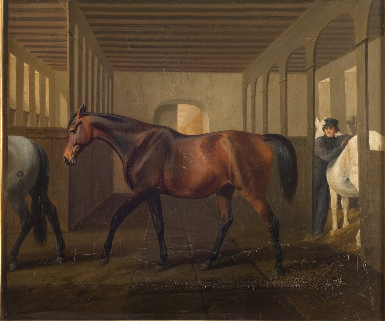 Rosetta door Fritz Thomsen