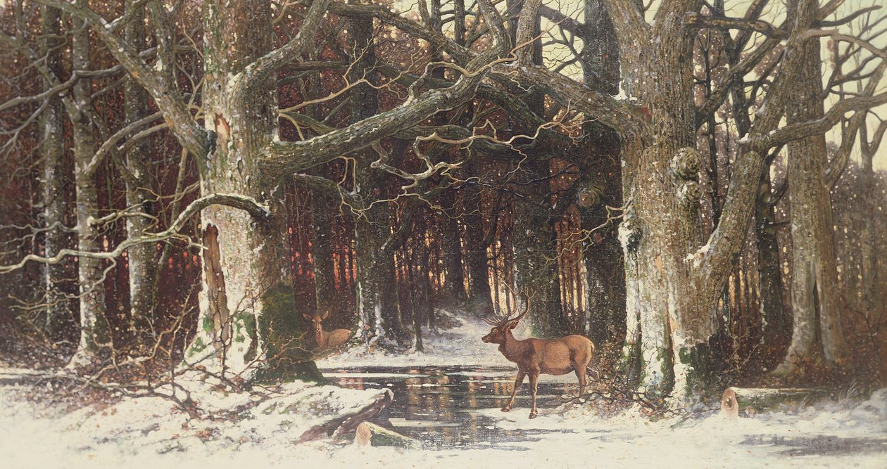 Herten in het bos, 19e eeuw door G. Schneyder