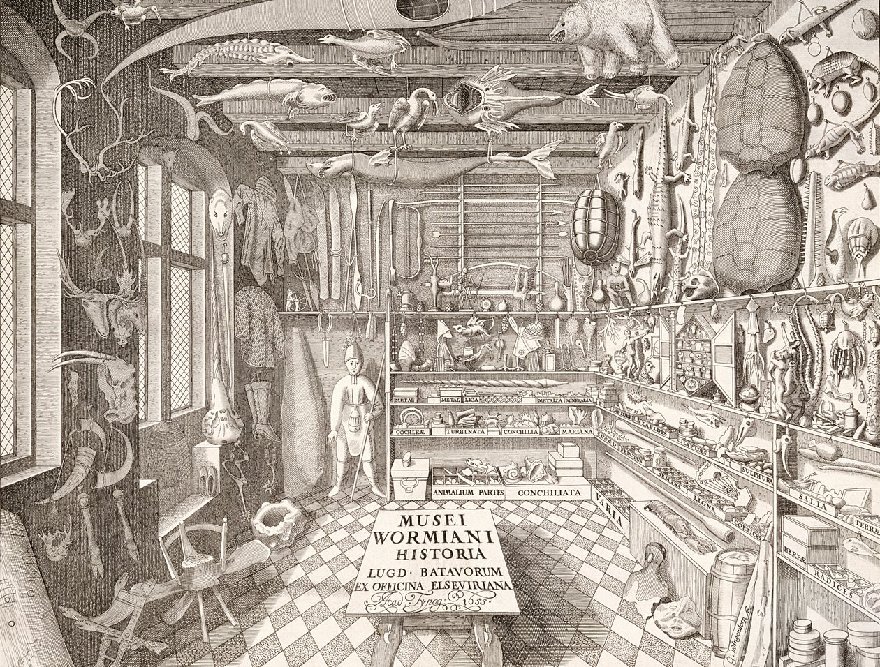 Museum van Ole Worm, Leiden, 1655 door G. Wingendorp