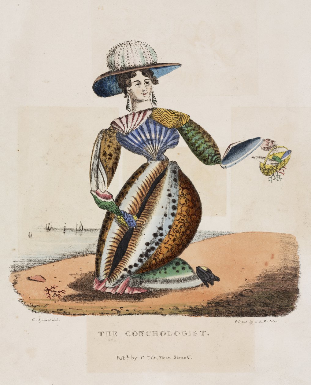 De Concholoog, ca. 1831 door G. Spratt