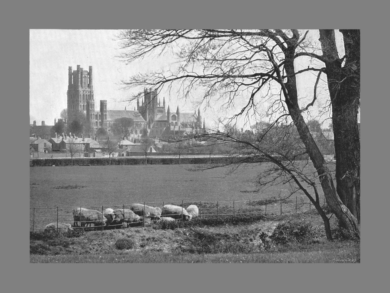 Ely Kathedraal, ca. 1900 door G. W. Wilson and Company