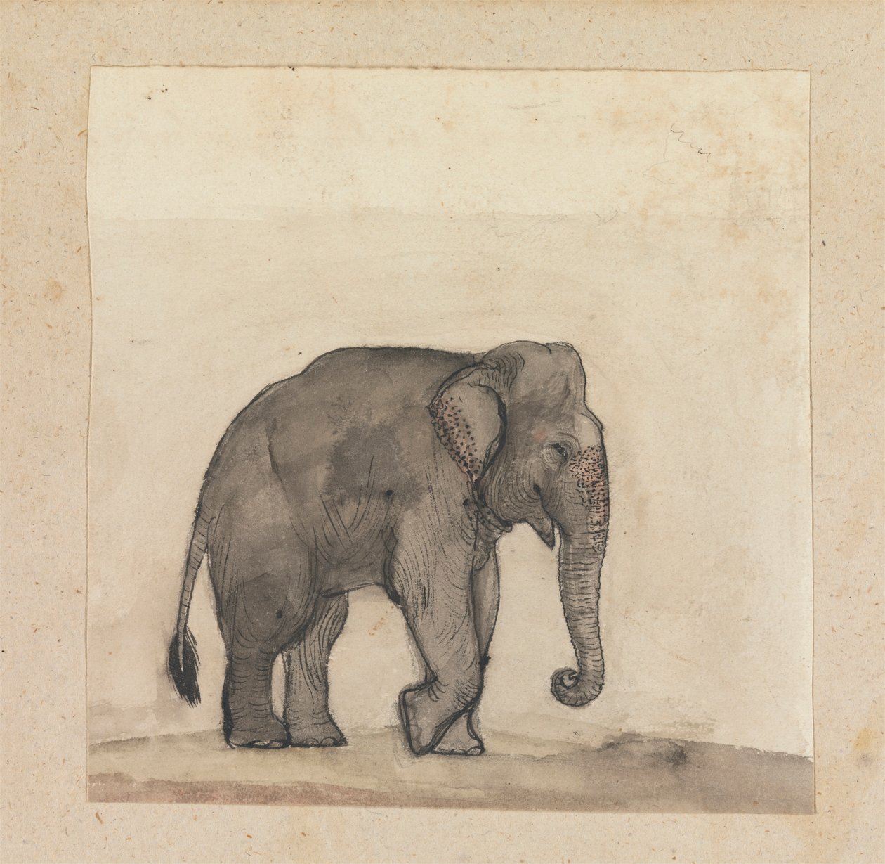 Olifant door Gangaram Chintaman Tambat
