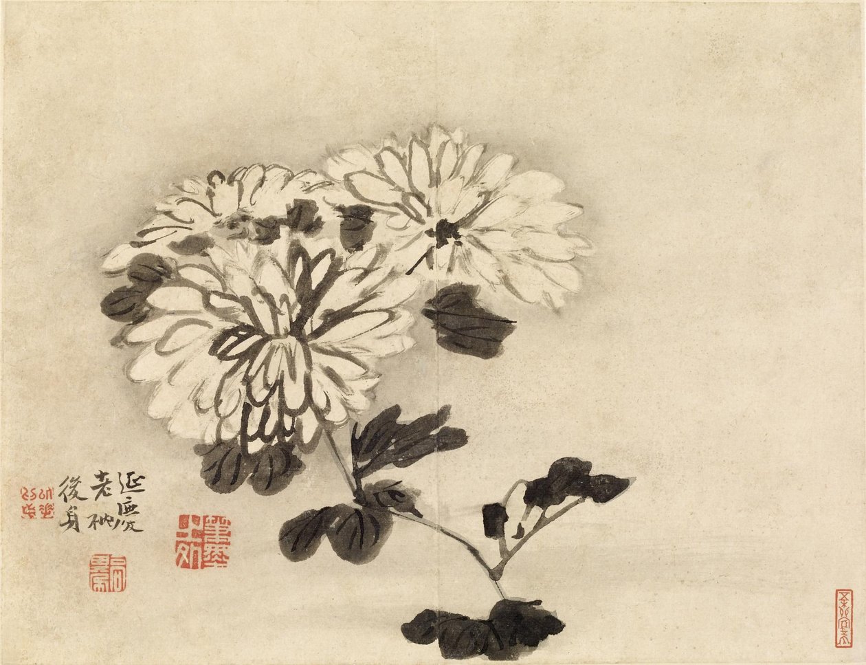 Chrysanten door Gao Qipei