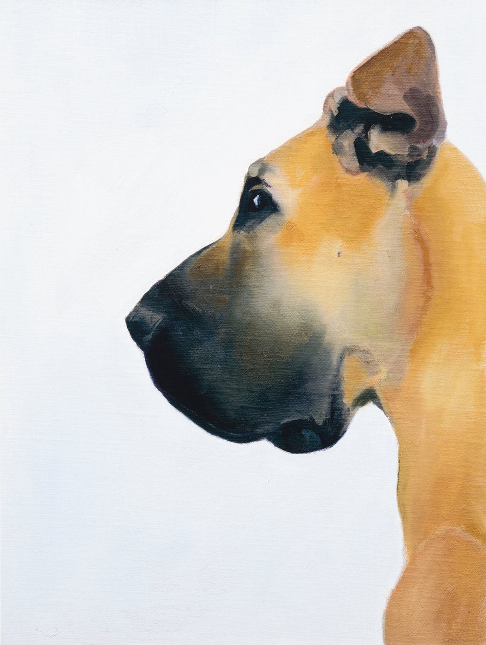 Duitse Dog, 2016 (olieverf op board) door Genevieve French