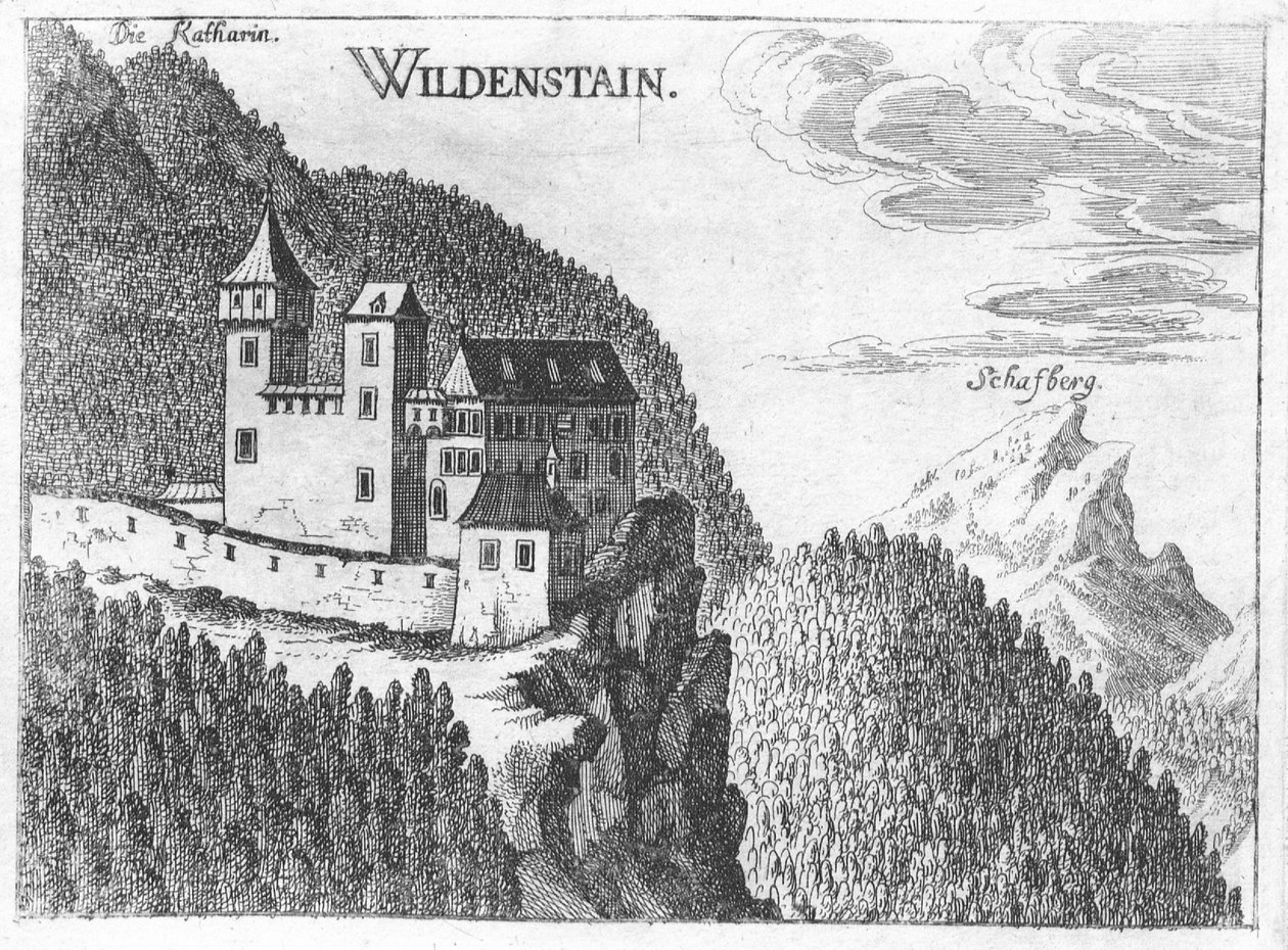 Gravure, uitzicht op kasteel Wildenstein, Opper-Oostenrijk door Georg Matthaus Vischer