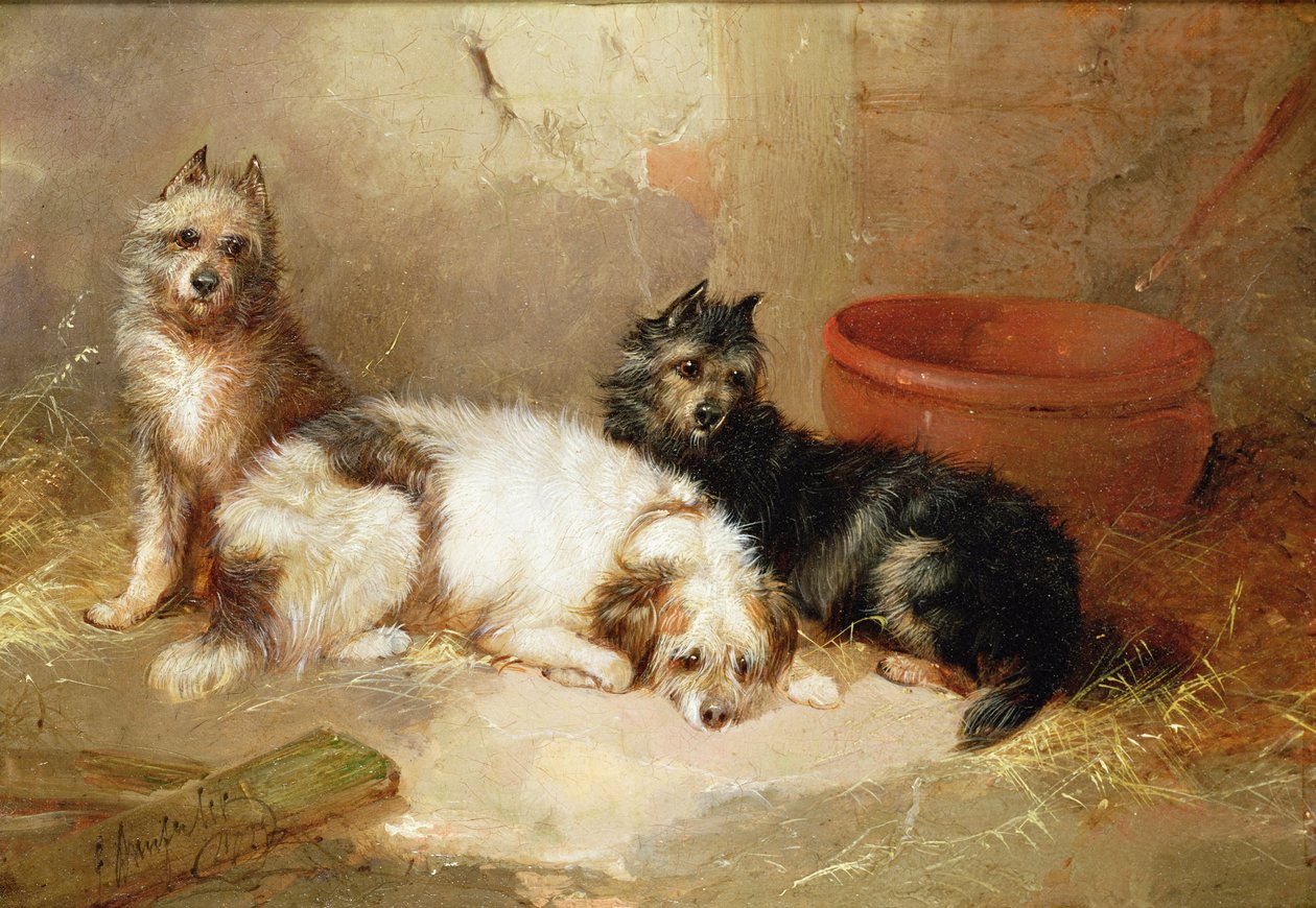 Drie terriërs door George Armfield