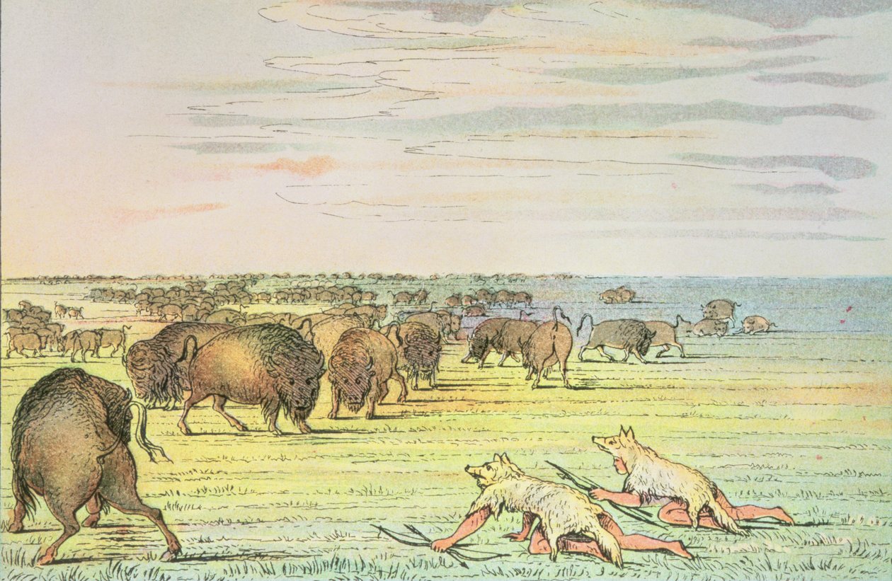 Buffel besluipen door George Catlin