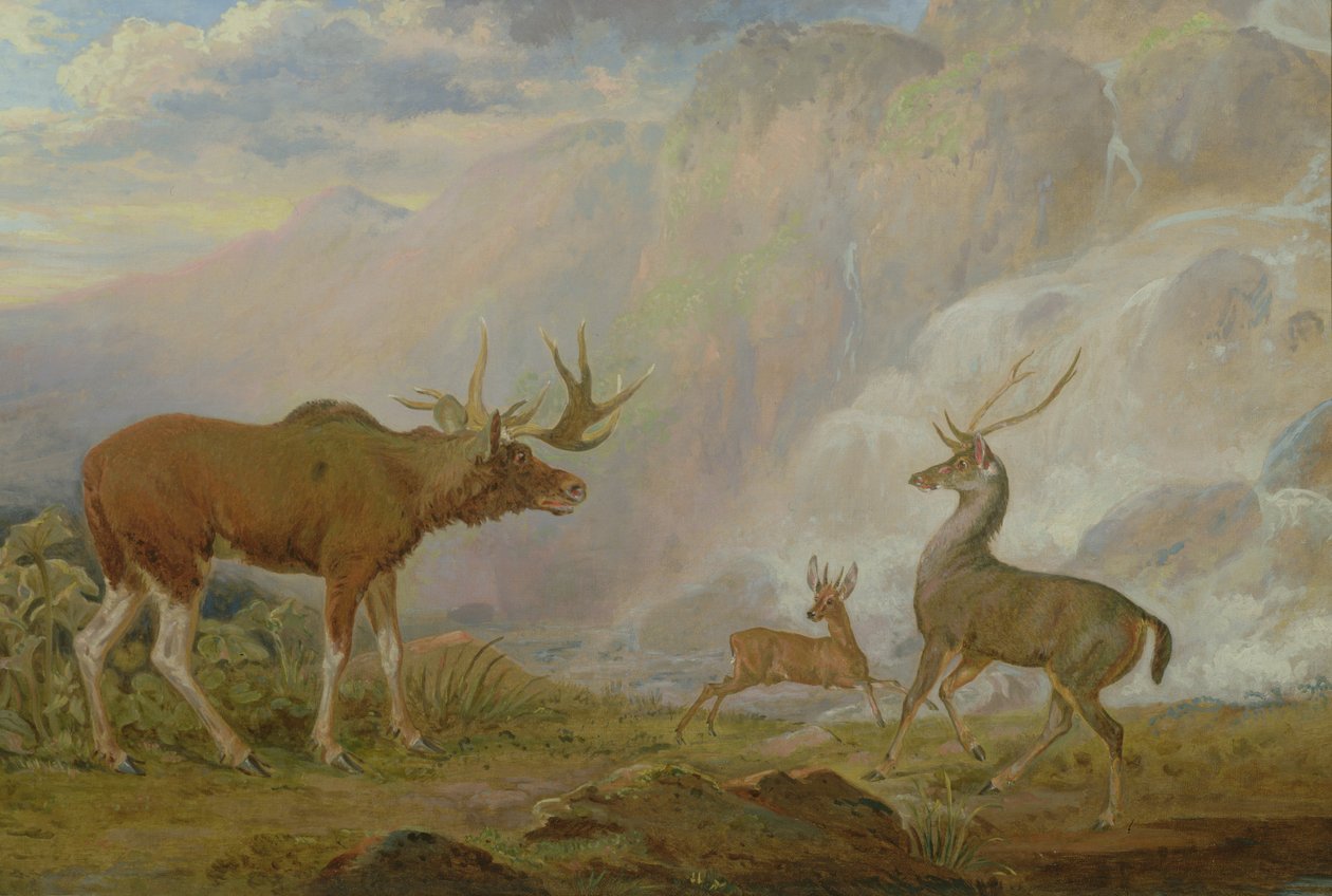 Eland, antilope en hert van de graaf van Orford door George Garrard