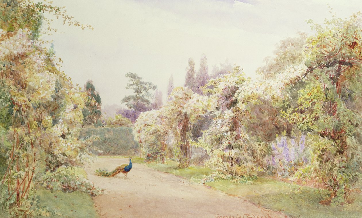 Zomertuin met een pauw door George Samuel Elgood